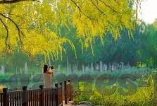 10体彩世界杯串多钱-10体彩世界杯串多钱，一场激情与策略的碰撞